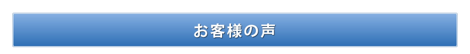 実績