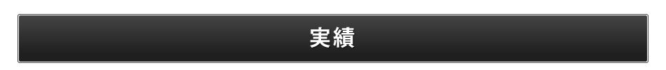 実績